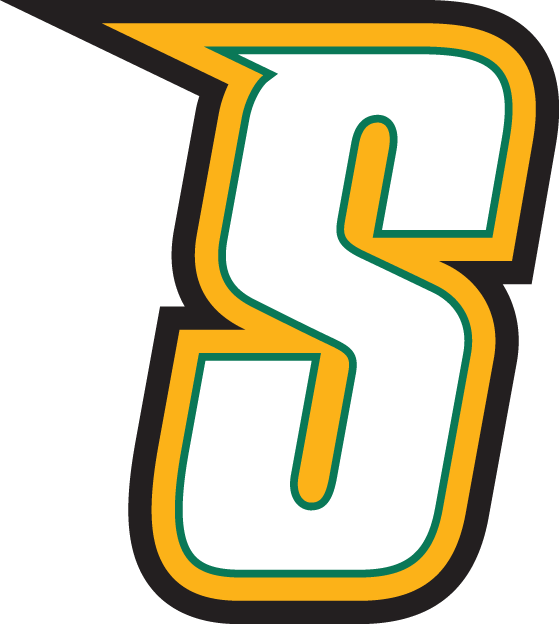 Siena Saints 2001-Pres Alternate Logo t shirts iron on transfers v5